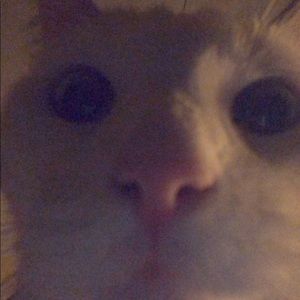 Meet your Posher, Alek